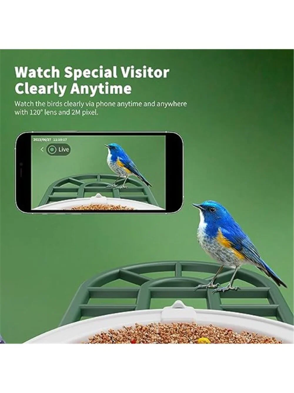 New Bird Feeder with Camera with AI Identify Birds Species Solar Powered